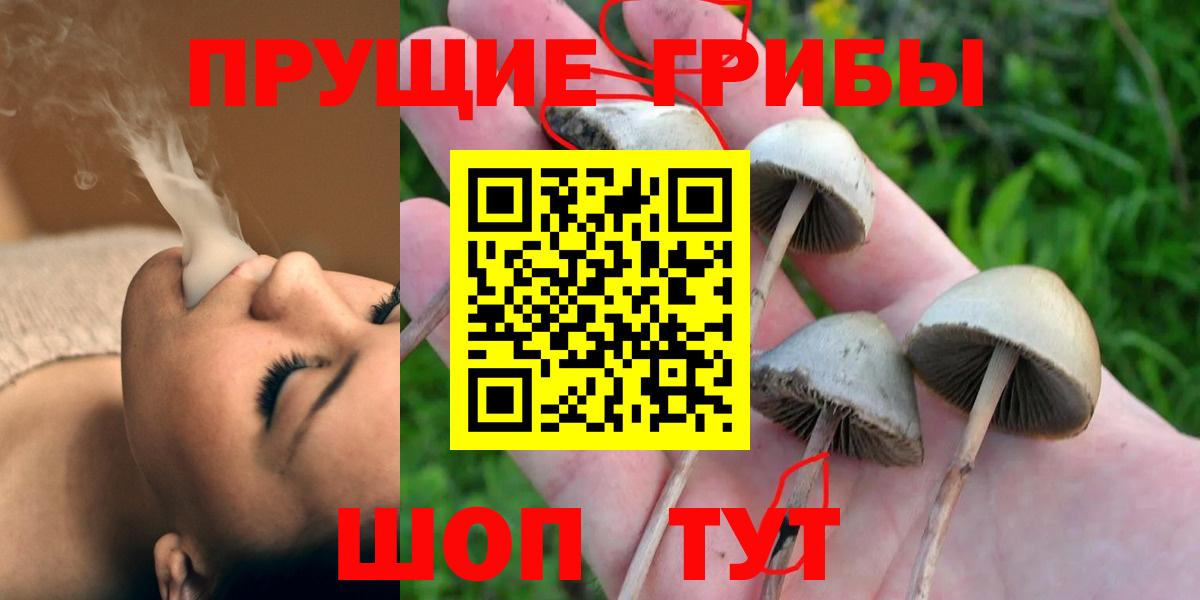 Псилоцибиновые грибы GOLDEN TEACHER Златоуст